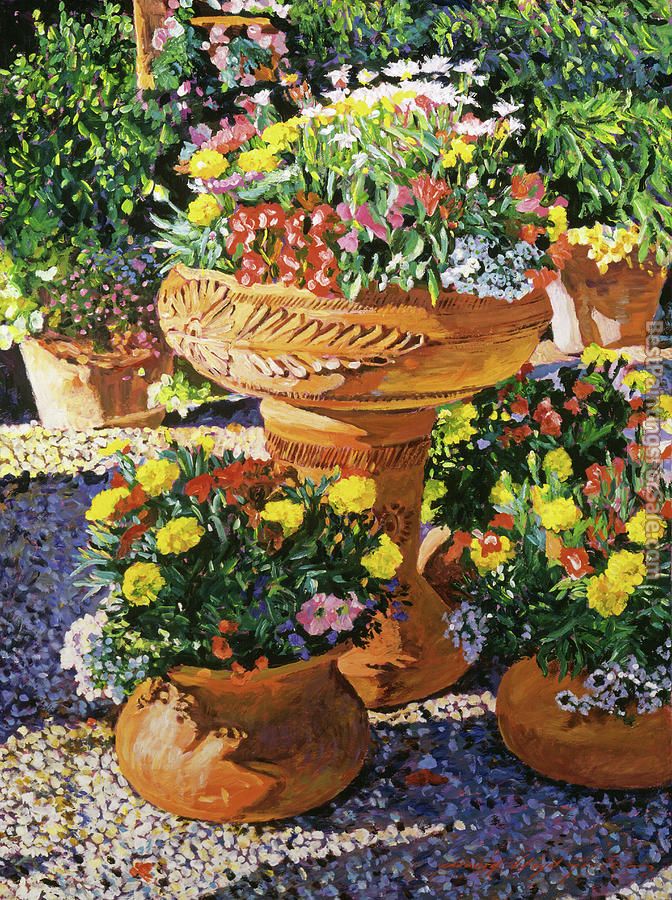 David Lloyd Glover Flower Pots in Sunlight